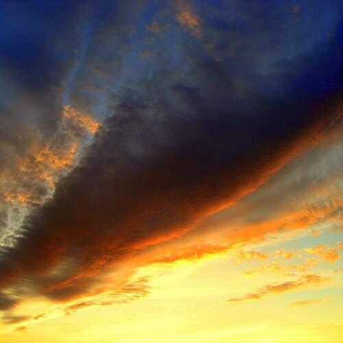 Photo #13755898