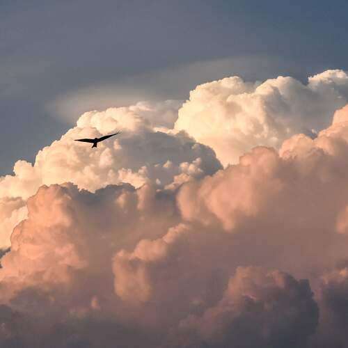 Photo #13755900
