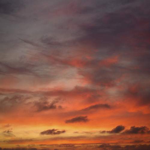 Photo #13755902