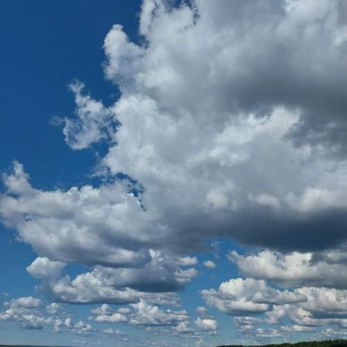Photo #13755940
