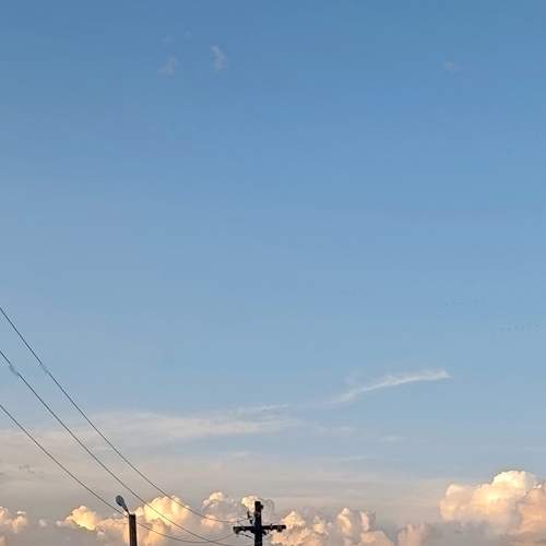 Photo #13755953