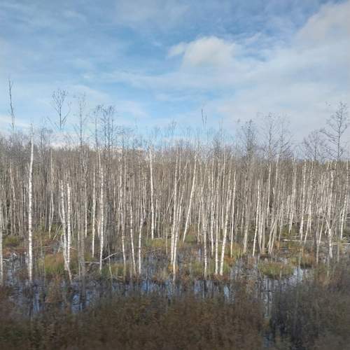 Photo #13755963