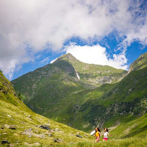 Photo #13755983