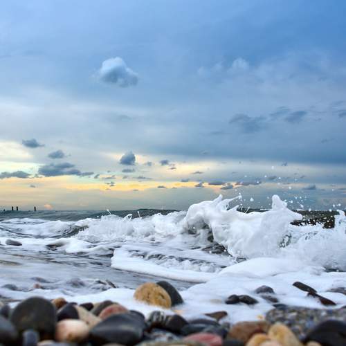 Photo #13756069