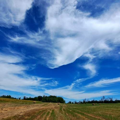 Photo #13756096
