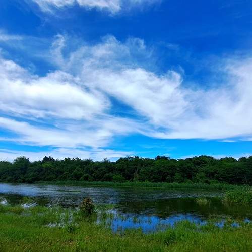 Photo #13756097
