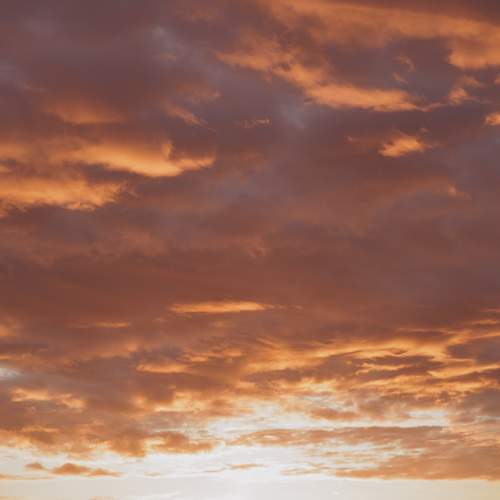 Photo #13756103