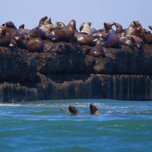 Photo #13756130