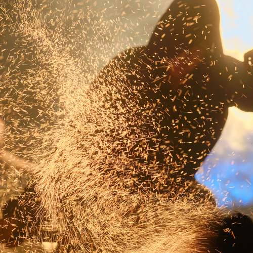 Photo #13756164