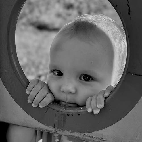 Photo #13756209