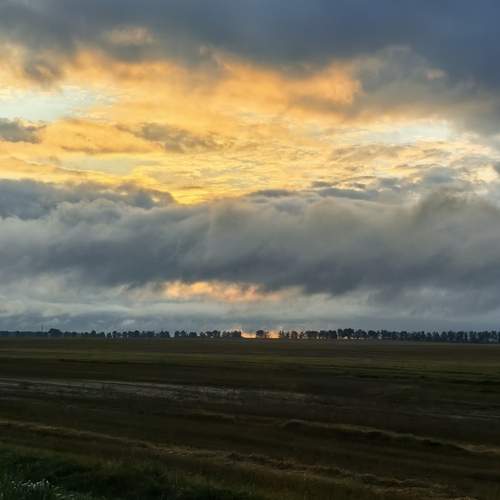 Photo #13756236