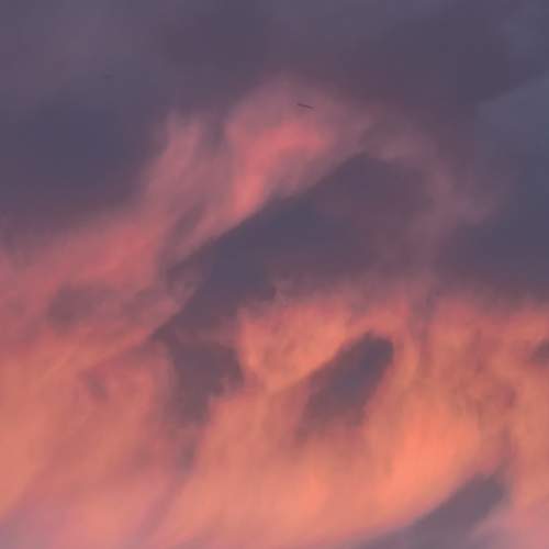 Photo #13756237