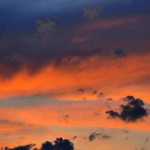 Photo #13756238