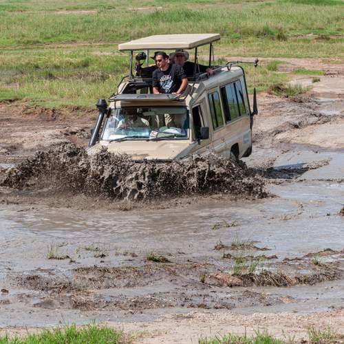 Photo #13756257