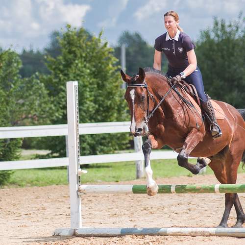 Photo #13756287