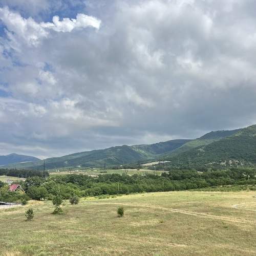 Photo #13756326