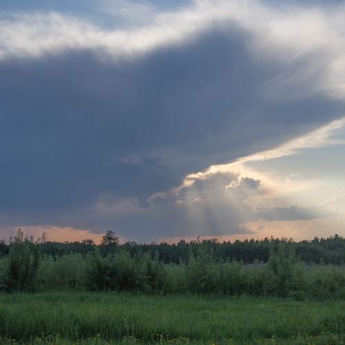 Photo #13756333