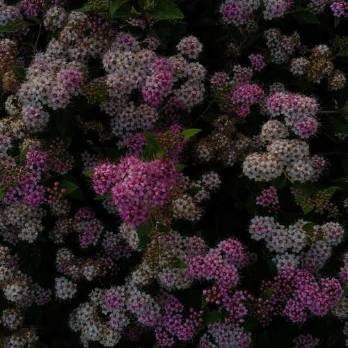 Photo #13756460