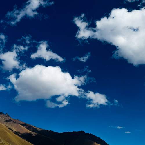 Photo #13756471