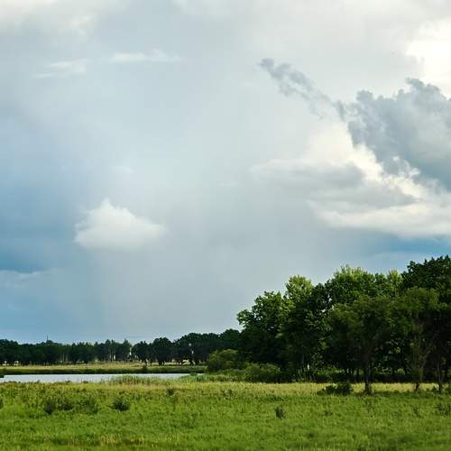 Photo #13756472