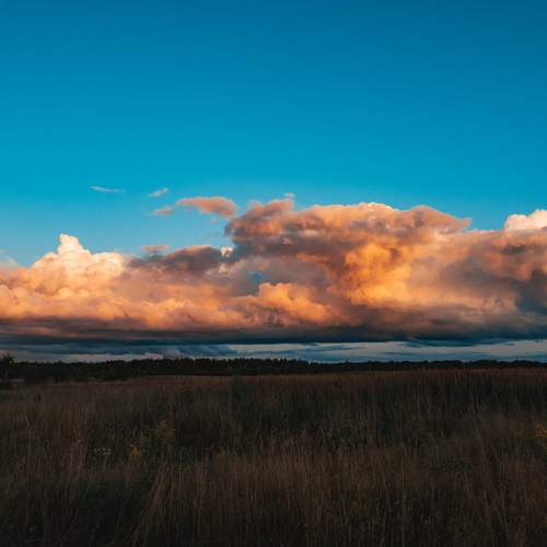 Photo #13756475