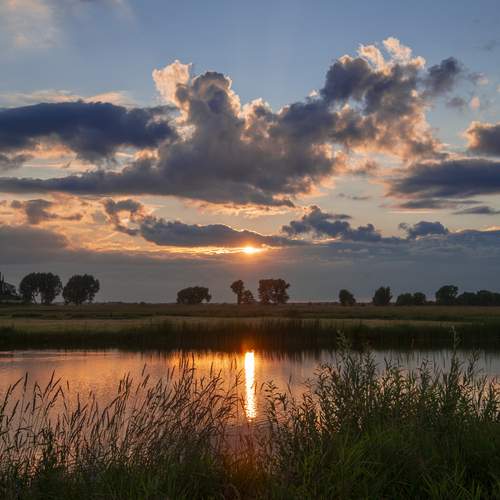 Photo #13756480