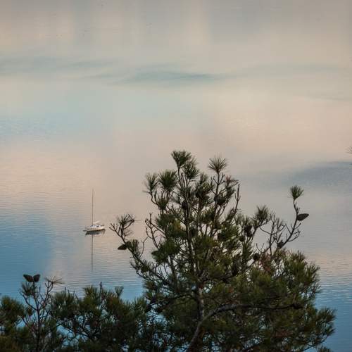Photo #13756481