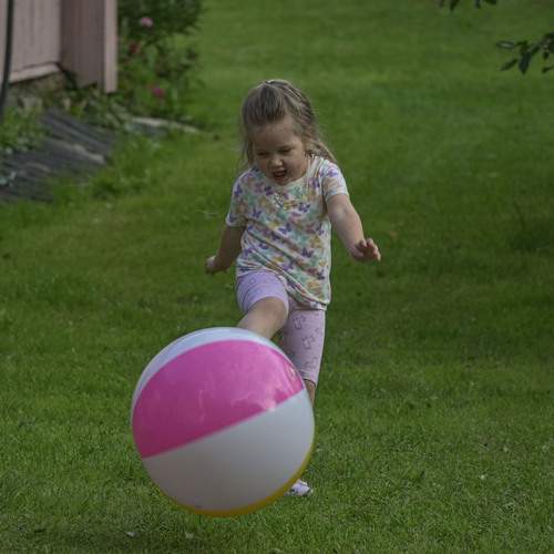 Photo #13756488