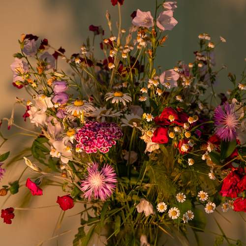 Photo #13756508