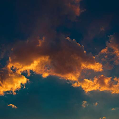 Photo #13756532