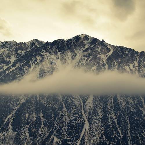 Photo #13756534