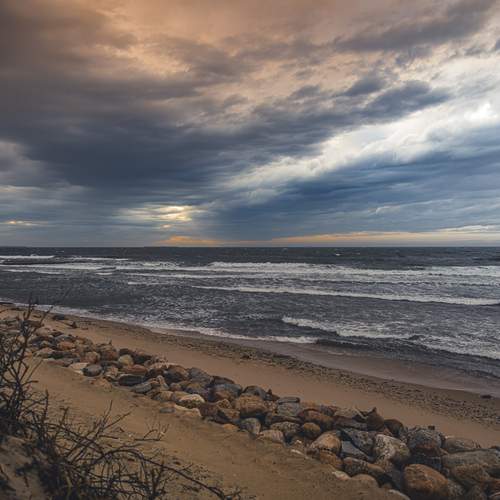 Photo #13756557