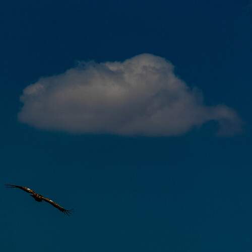 Photo #13756568