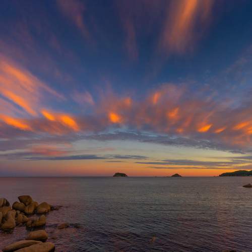 Photo #13756601