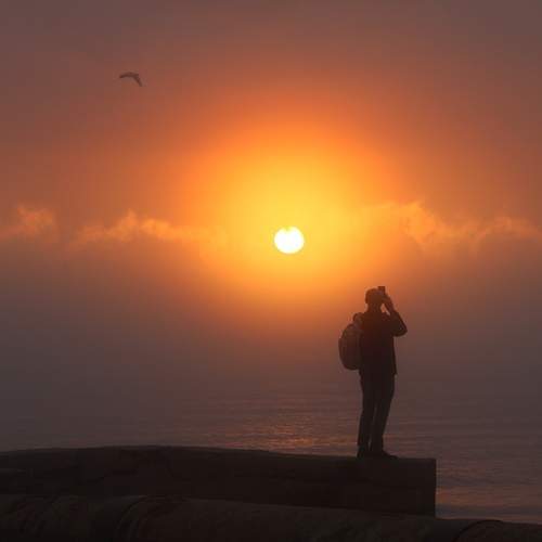 Photo #13756648