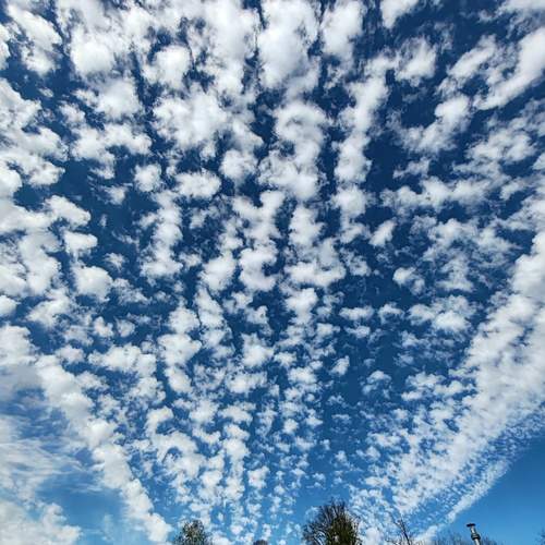 Photo #13756650