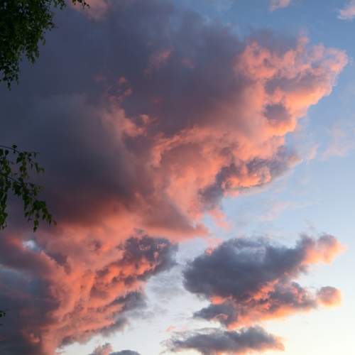 Photo #13756665