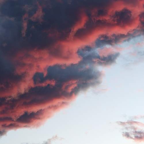 Photo #13756666