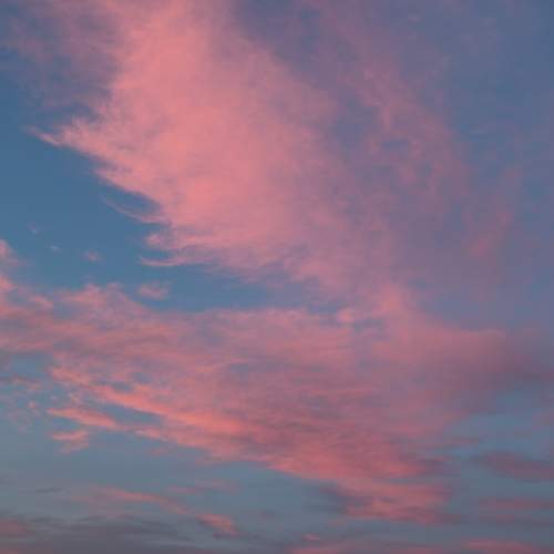 Photo #13756669