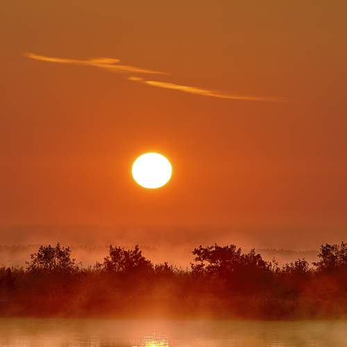 Photo #13756687