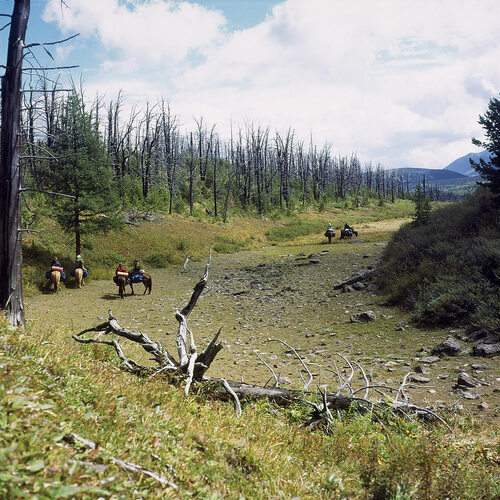 Photo #13756689