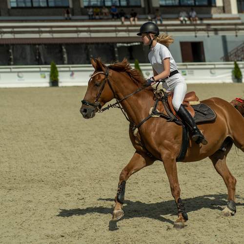Photo #13756753