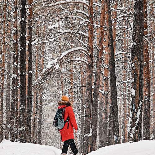 Photo #13756776