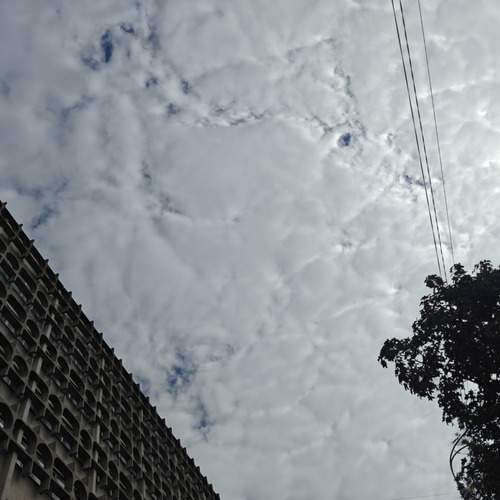 Photo #13756787