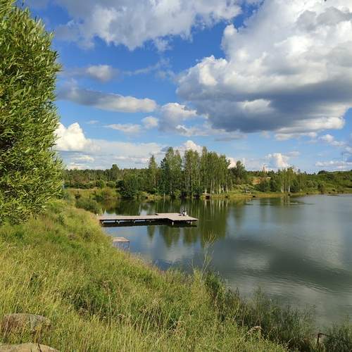 Photo #13756788