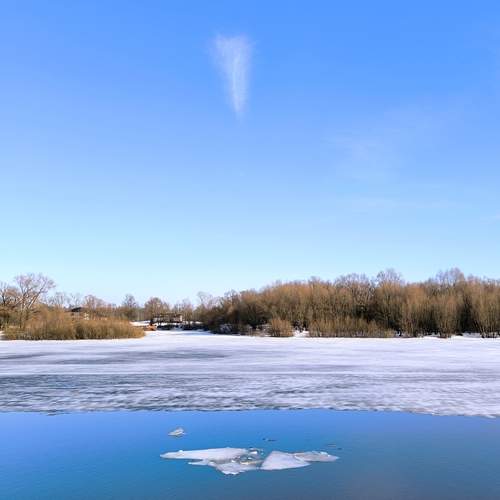 Photo #13756817