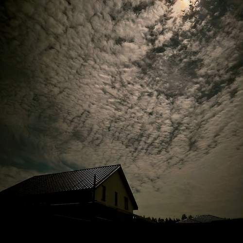 Photo #13756823