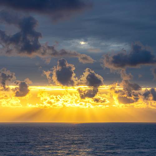 Photo #13756829