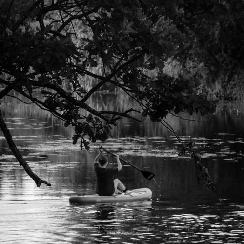 Photo #13756873