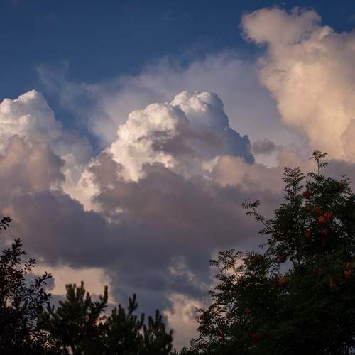 Photo #13756876